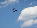 Western Michigan [2010] 498